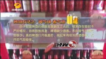 兰州啤酒爆料视频完整版,探寻品牌背后的故事与魅力 第1张 兰州啤酒爆料视频完整版,探寻品牌背后的故事与魅力 第1张