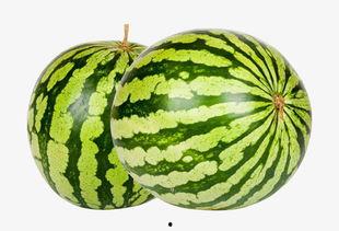 山东大瓜爆料视频大全集,揭秘娱乐圈幕后真相